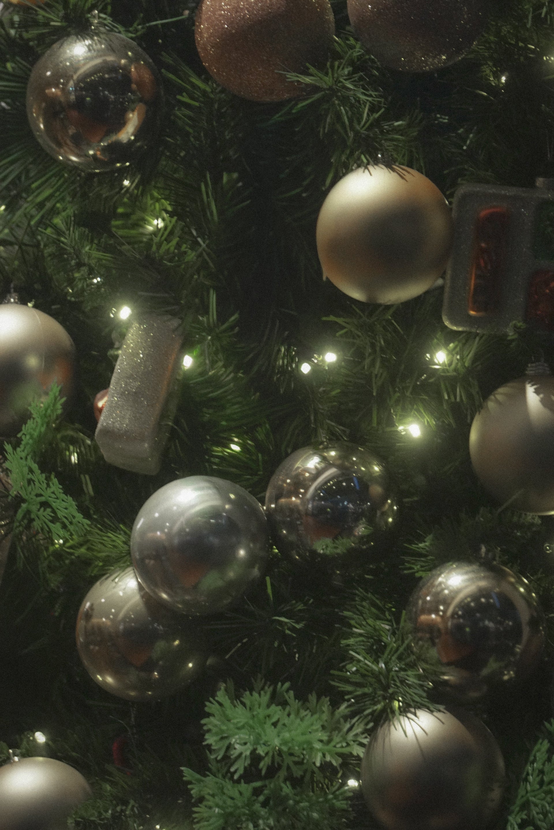 Managing Holiday Stress: A Nervous System Supportive Day That Fits Real Life