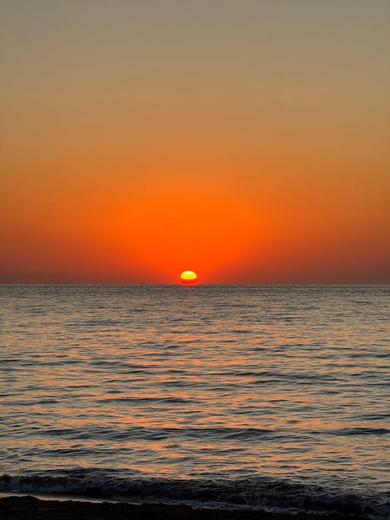 Your Late-Summer Nervous System Reset